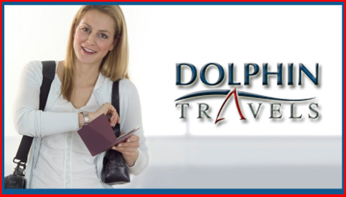 Dolphin Travel Photo