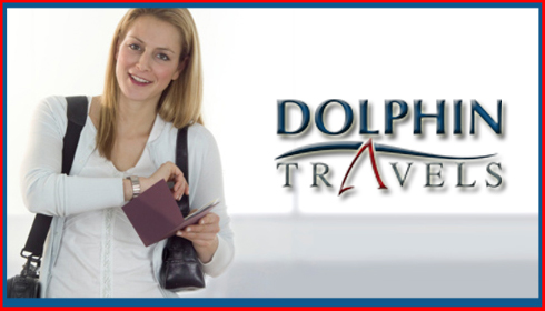 Dolphin Travel Photo'