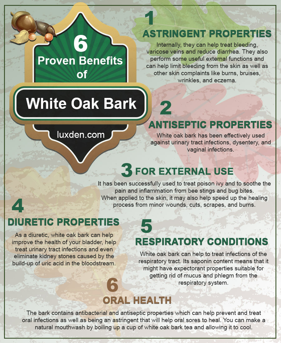 6 Proven Benefits of White Oak Bark'