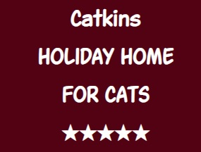 Company Logo For Catkins Holiday Home for Cats'