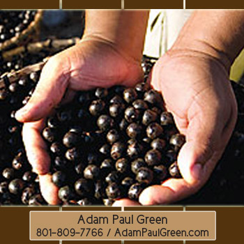 Adam Paul Green