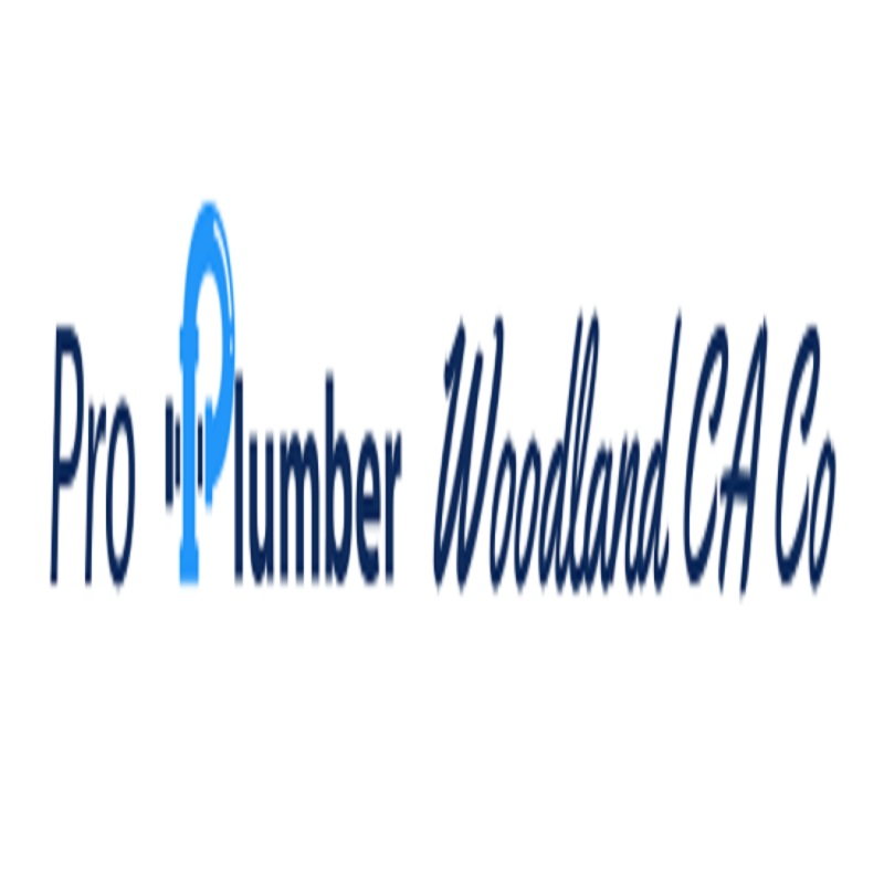 Company Logo For Pro Plumber Woodland CA Co'