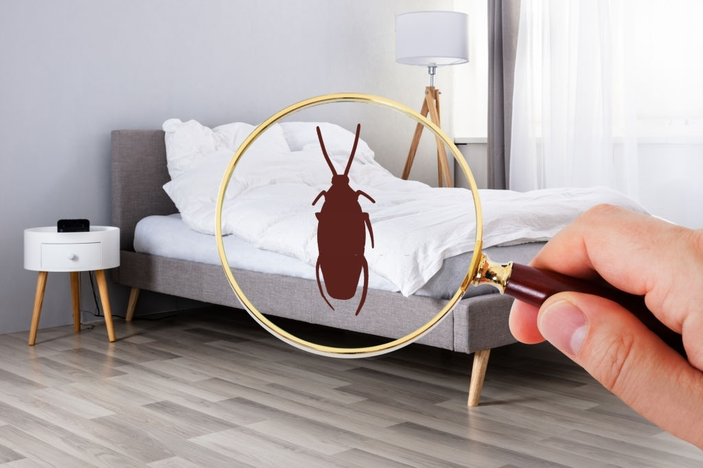 Company Logo For Scuity Bed Bug Exterminator Chicago - Bed B'