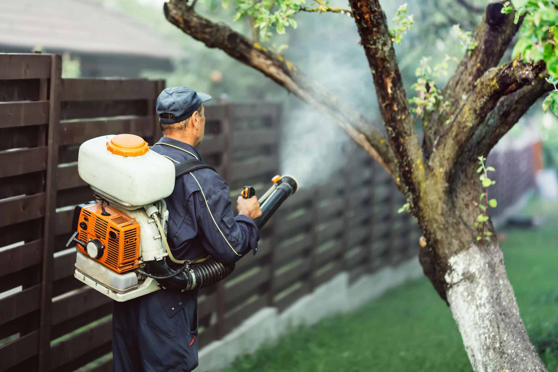 Company Logo For Hive Bed Bug Exterminator Denver CO - Bed B'