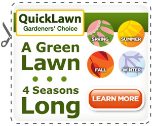 quicklawn grass seed'