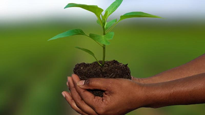 Agriculture Reinsurance'