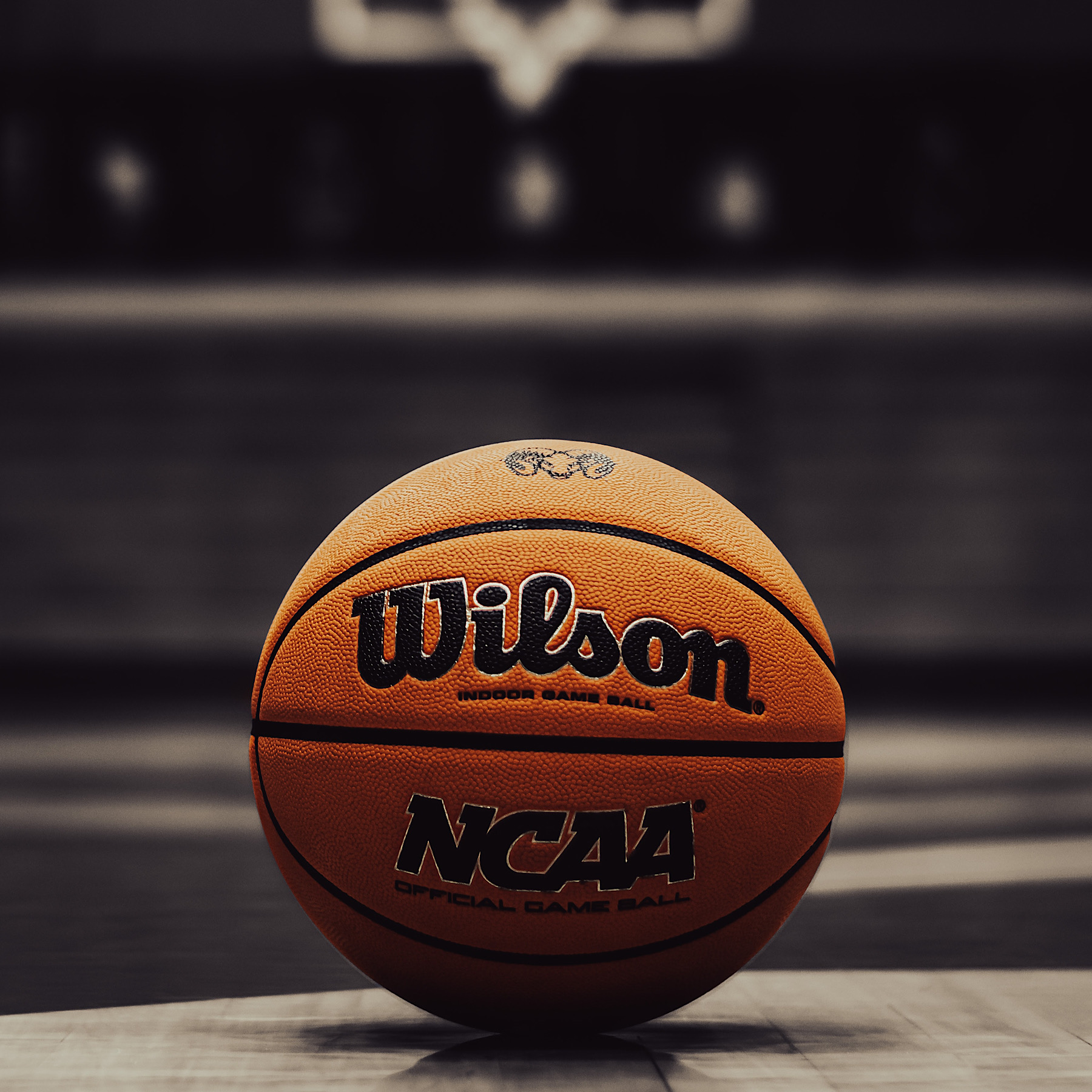 Performance Team Sports Continues to Raise its Game with Wil'