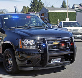 Executive Protection'