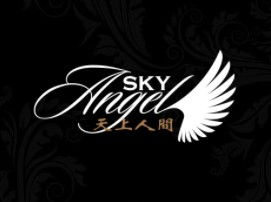 Company Logo For Sky Angel'