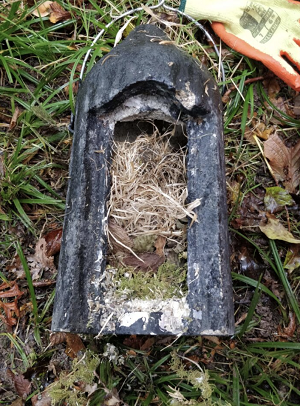 Company Logo For Greenlight Environmental Consultancy Ltd'