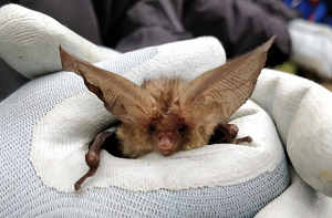 Company Logo For Greenlight Environmental Consultancy Ltd'