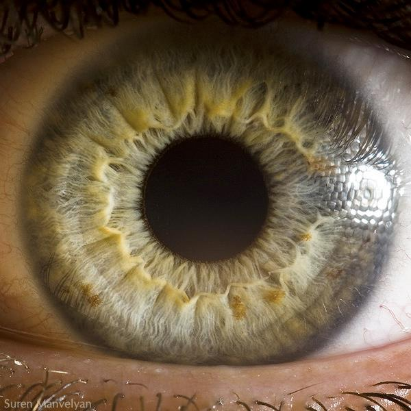 Eye Doctor MT Gilead OH'