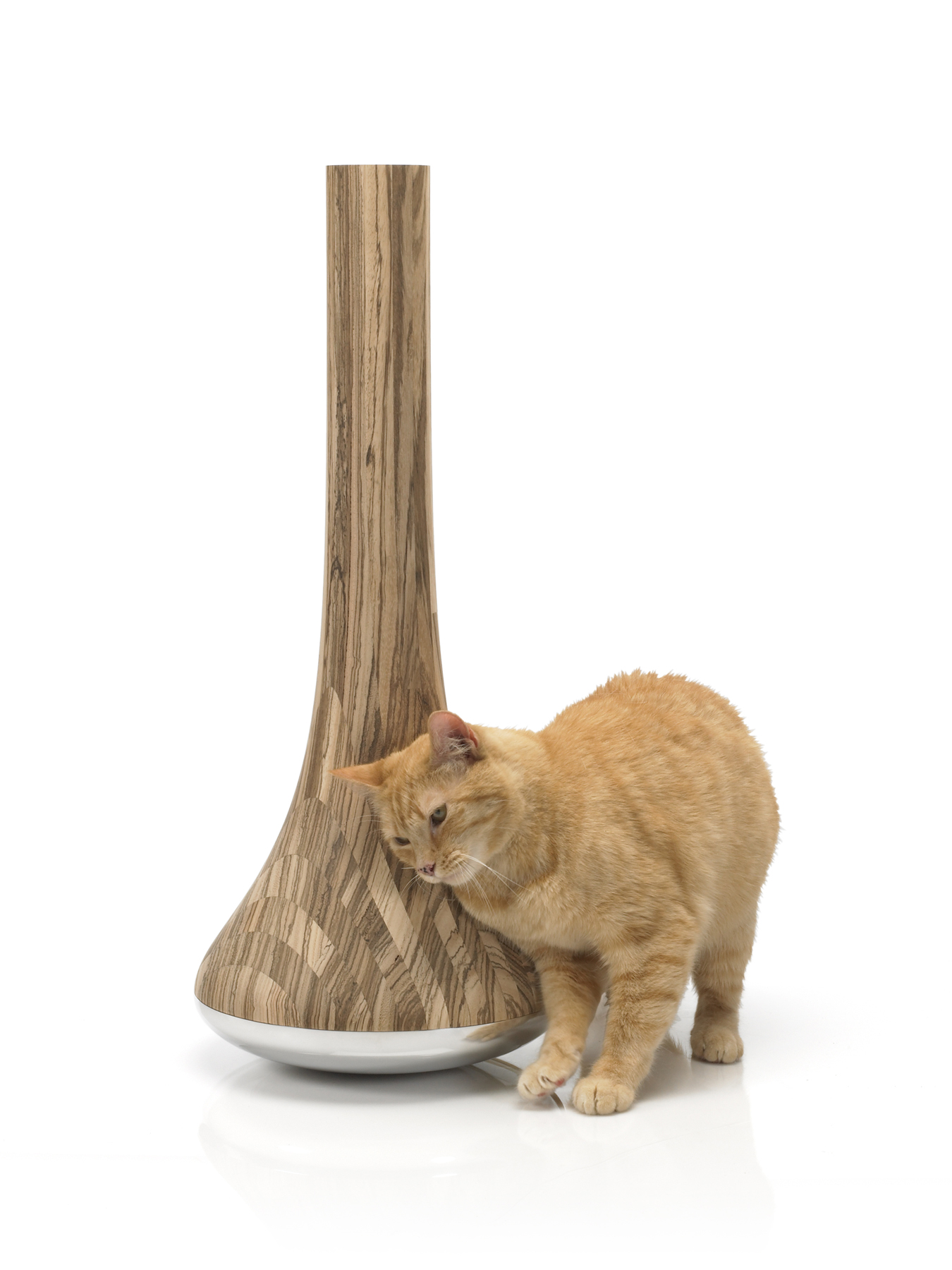 Leo Cat Scratching Post'
