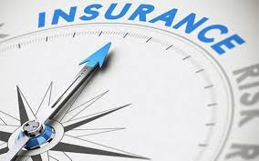 Disability Insurance Market'
