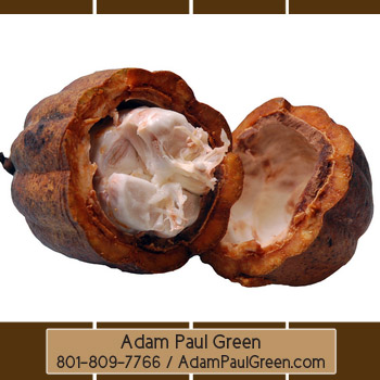 Adam Paul Green'