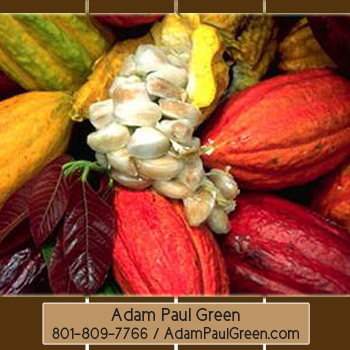 Adam Paul Green'