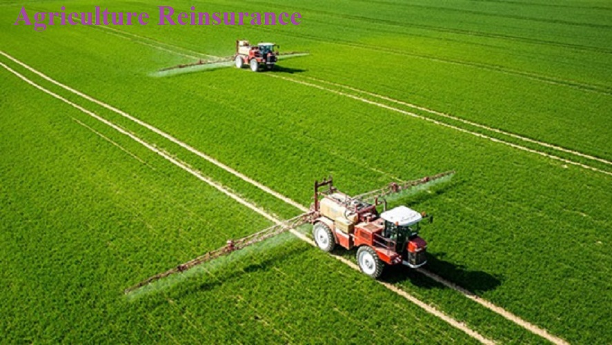 Agriculture Reinsurance Market