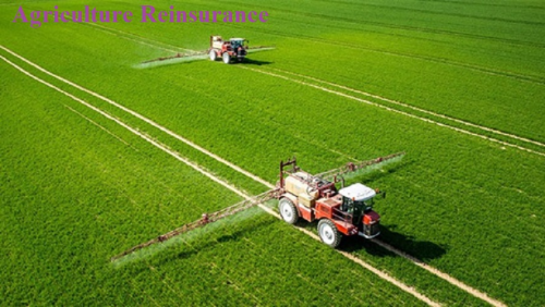 Agriculture Reinsurance Market'