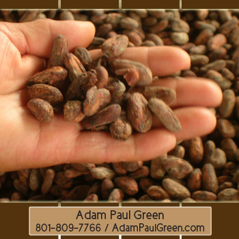 Adam Paul Green