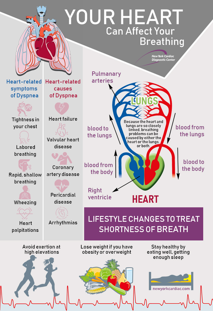 Your Heart Can Affect Your Breathing'