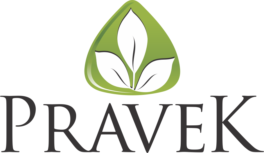 pravek seo'