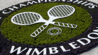 2013 Wimbledon Championships