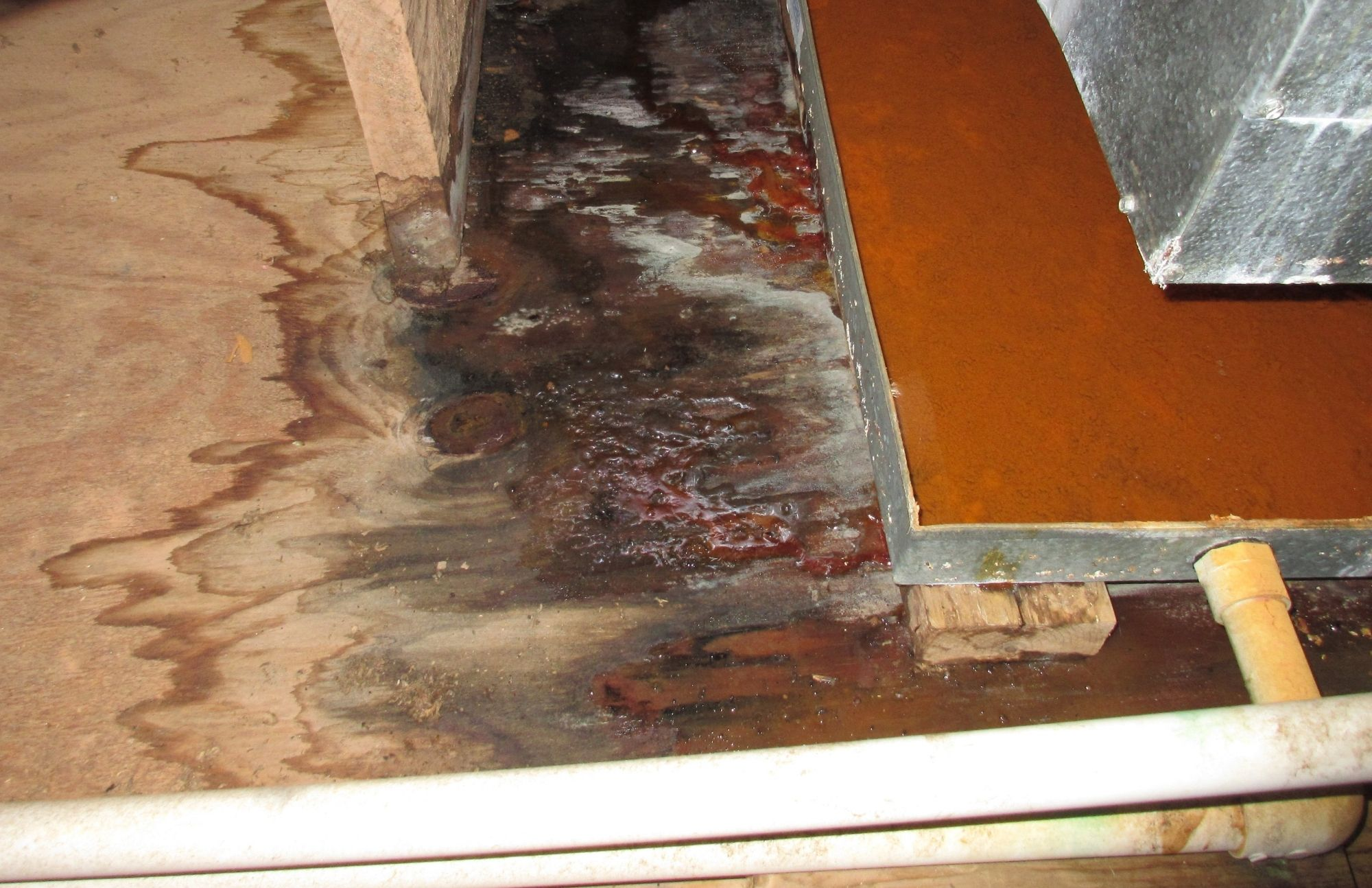 Company Logo For Mold Experts of South Bend'