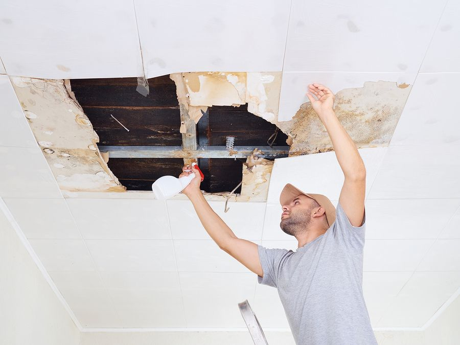Water Damage Restoration Long Island Pros