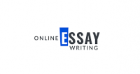 Online Marketing Essay Logo