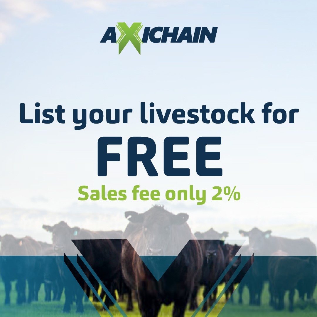 AXIchain Logo