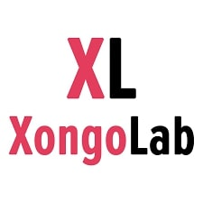 Node.JS Development Services | XongoLab'