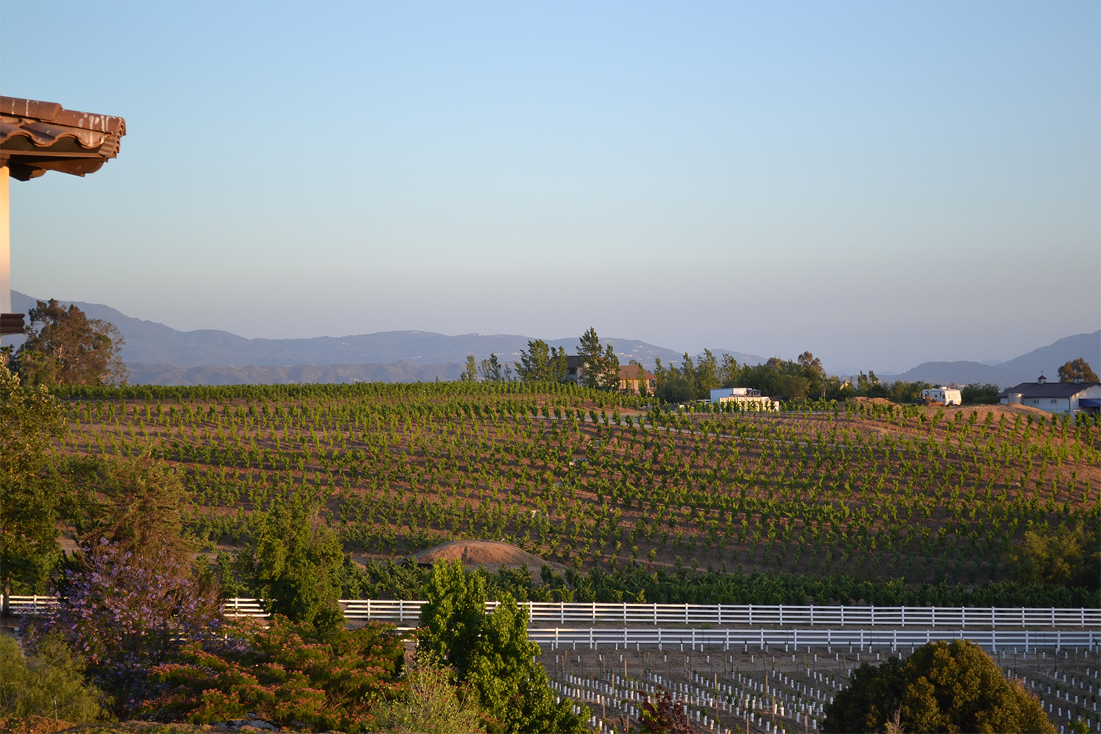 Que Syrah - LGBT-Friendly Wine Country Resort'