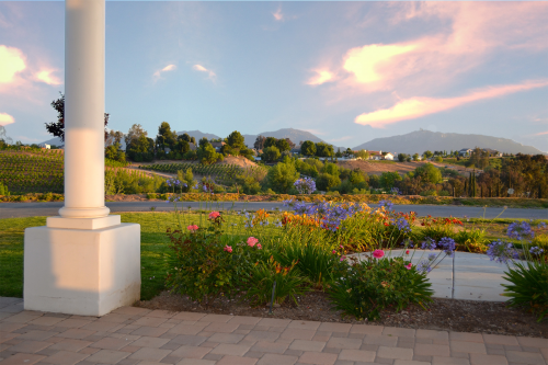 Que Syrah - LGBT-Friendly Wine Country Resort'