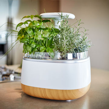 Smart Potted Plant'