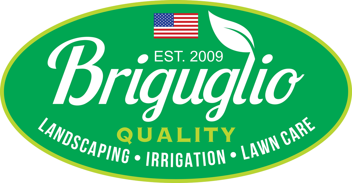 Company Logo For Briguglio Quality Cuts'