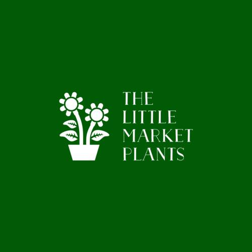 The little market plants