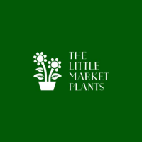The little market plants Logo