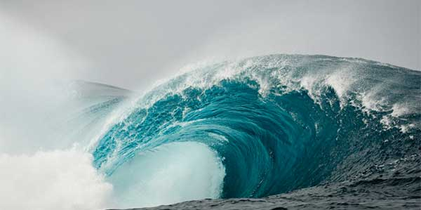 Wave Energy Market'