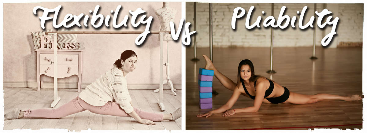 Company Logo For side split'