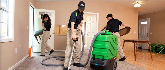 Disaster Remediation'