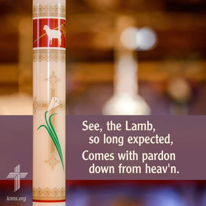 Company Logo For Cordova Lutheran Church-Lcms'