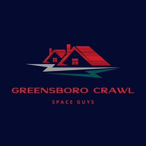 Company Logo For Greensboro Crawl Space Guys'