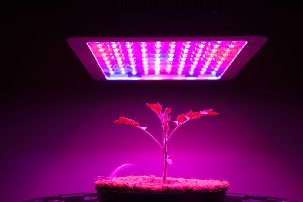 Agricultural LED'