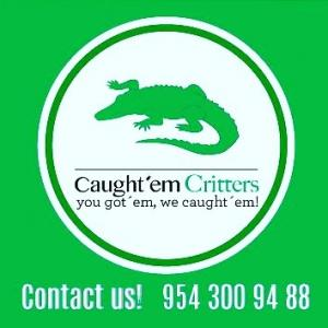 Company Logo For Caught&#039; em Critters'