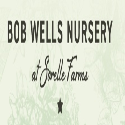 Company Logo For Bob Wells Nursery'