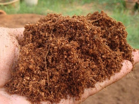 Cocopeat'