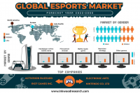 The Global Esports Market