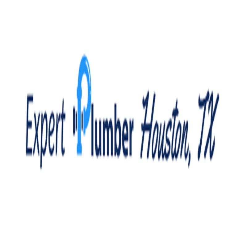 Company Logo For Expert Plumber Houston TX'