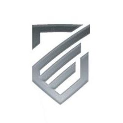 Company Logo For Zaladium Intelligent Security'