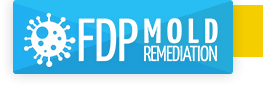 Company Logo For FDP Mold Remediation'